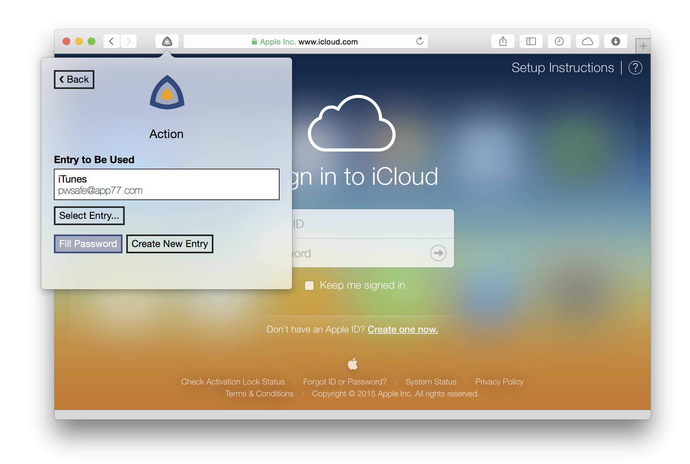 Safari extension